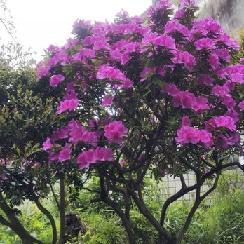 五反田公園 Parks 東五反田5 24 6 品川区 東京都 Japan