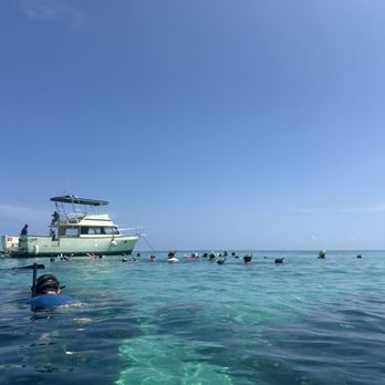 Captain Marvin's - snorkeling at 1st stop - Dive Shops Near Me - George Town, Kentucky