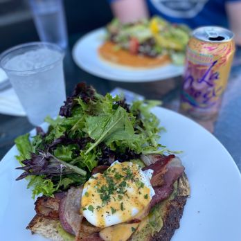 Plenty - Bacon Avocado and Poached Egg on French Levain, w/ hollandaise. - Coffee & Tea Near Me - Oakland, California Plenty - Bacon Avocado and Poached Egg on French Levain, w/ hollandaise. - Coffee & Tea Near Me - Oakland, California