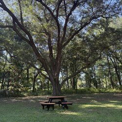 Mill Point Park - Picnic area