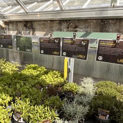 Königliche Gartenakademie - Kräuter | Königliche Gartenakademie Berlin