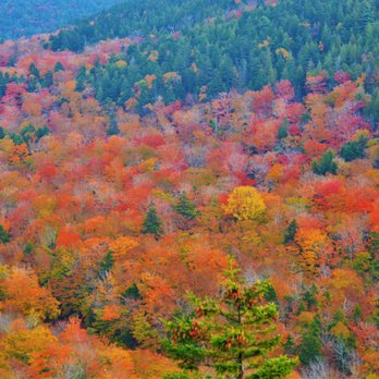 Bubble Rock - Hiking Near Me - Mount Desert, Maine