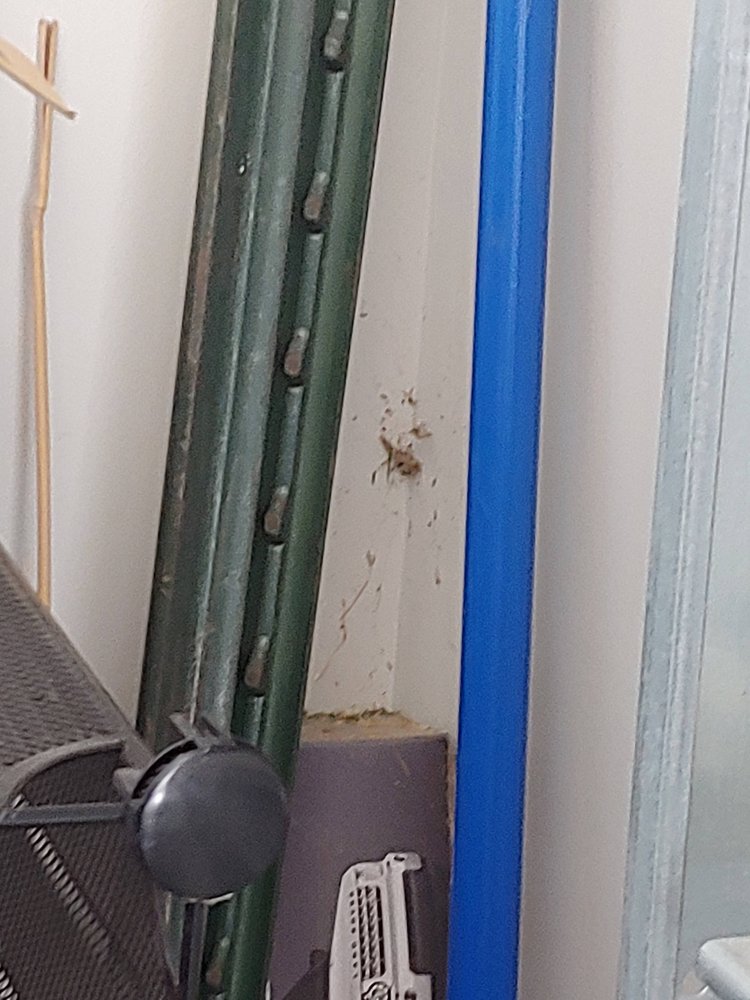 ARMOR PEST DEFENSE Updated 2024 14 Photos & 137 Reviews 1850 W