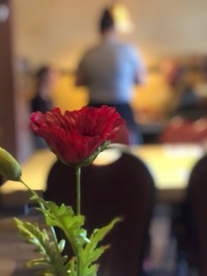 Mona's Italian Restaurant by null
