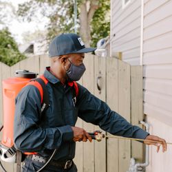 Fox Pest Control Syracuse
