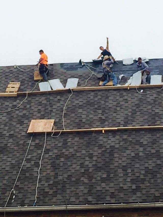 Slide of She Shingles