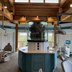 Freeman Orthodontics