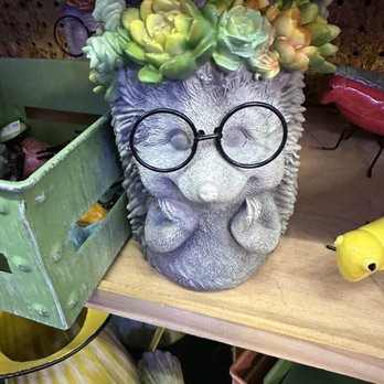 Five & Dime General Store - Ohhhhhh my Goodness!! - A ceramic or concrete hedgehog-shaped planter contains a variety of colorful succulents on top. The planter has detailed features resembling a hedgehog, including small paws and textured spines. It is accessorized with round black glasses positioned on its face. The item is placed on a wooden surface among other decorative objects and store items, with a green crate and other garden or home decor items visible nearby. - Convenience Stores Near Me - Branson, Missouri