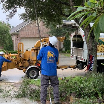 Arbor Care - Tree Services Near Me - Houston, Texas
