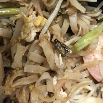 Thai At Silver Spring - Thai Near Me - Silver Spring, Maryland Thai At Silver Spring - Thai Near Me - Silver Spring, Maryland