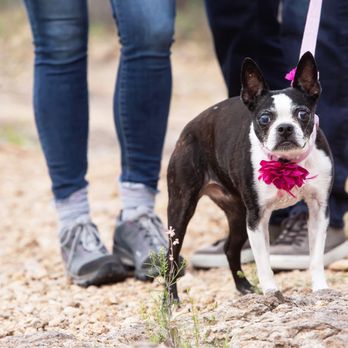 Sabino Veterinary Care - Unfortunately- I would NOT recommend Sabino Vet Clinic. They failed our family. - Veterinarians Near Me - Tucson, Arizona Sabino Veterinary Care - Unfortunately- I would NOT recommend Sabino Vet Clinic. They failed our family. - Veterinarians Near Me - Tucson, Arizona