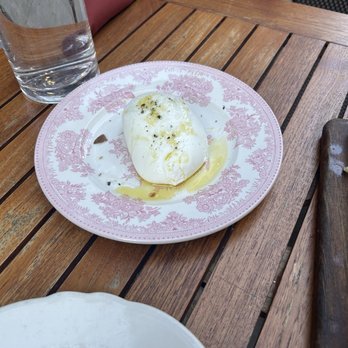 Ciccio Mio - Italian Near Me - Chicago, Illinois