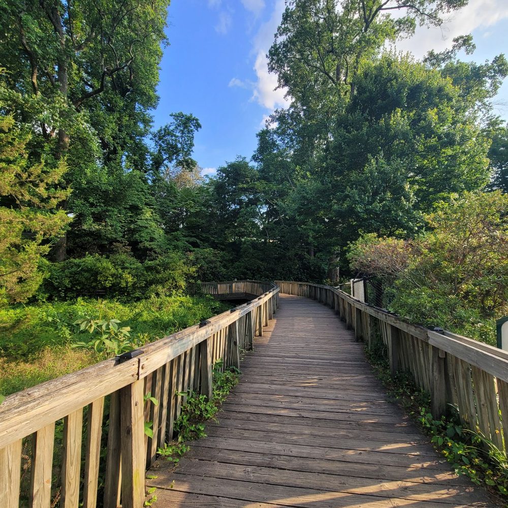 Maymont - Scenic - Parks Near Me - Richmond, Virginia