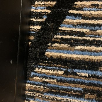 Best Western Monroe Inn - Pet hair all over room - Hotels Near Me - Monroe, Ohio Best Western Monroe Inn - Pet hair all over room - Hotels Near Me - Monroe, Ohio