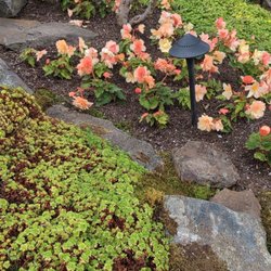 Sunken Gardens Park