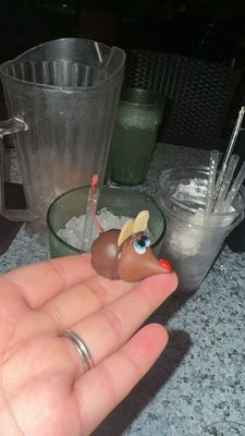 Finn McCools by null