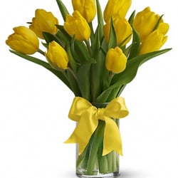 Anton's Florist - Sunny Yellow Tulips