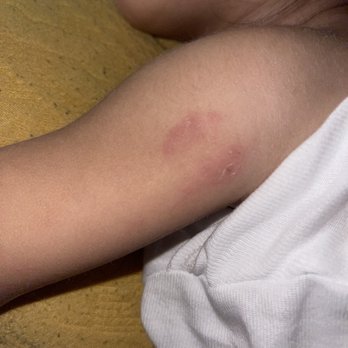 O2B KIDS ALTAMONTE SPRINGS - Updated March 2026 - 64 Photos & 15 ...