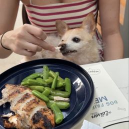 Dog menu - chicken breast and snap peas