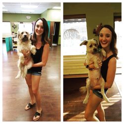 Earth Dog Spa & Apawthecary - Teddy may not look as pleased as I am but James did an amazing job!