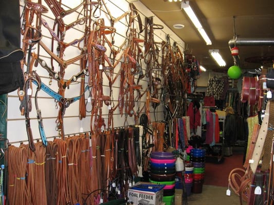 Boutique equestre st cecile de milton Clearance