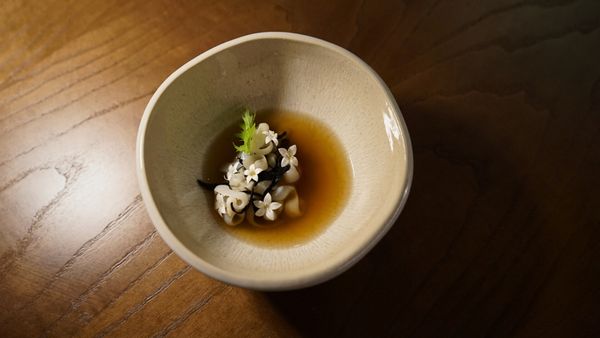Gastro by Elemento by null