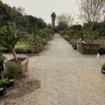 Moon Valley Nurseries - Tree Services Near Me - Irvine, California Moon Valley Nurseries - Tree Services Near Me - Irvine, California