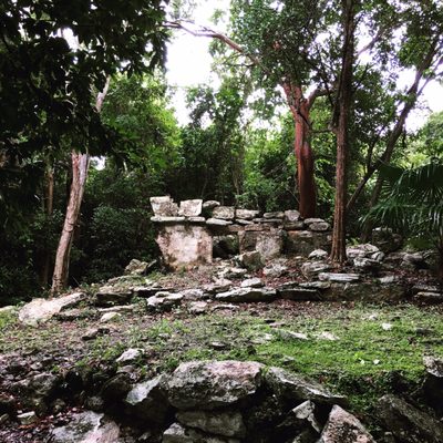 Jardín Botanico Dr. Alfredo Barrera Marín by null