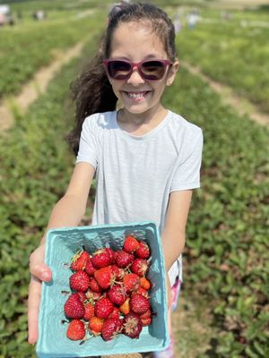 Lewin Farms by null