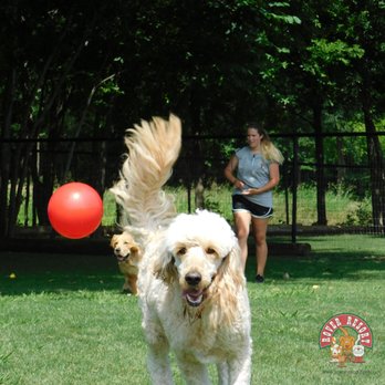 Rover Resort - Pet Groomers Near Me - Mckinney, Texas