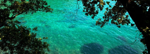 Eight Portofino by null