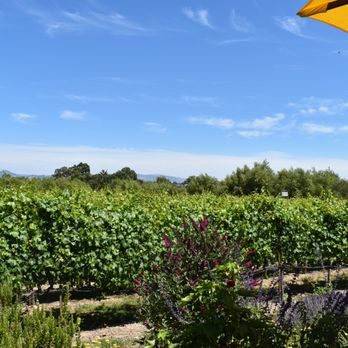 Randall's Wine Tours - Wine Tours Near Me - Sebastopol, California