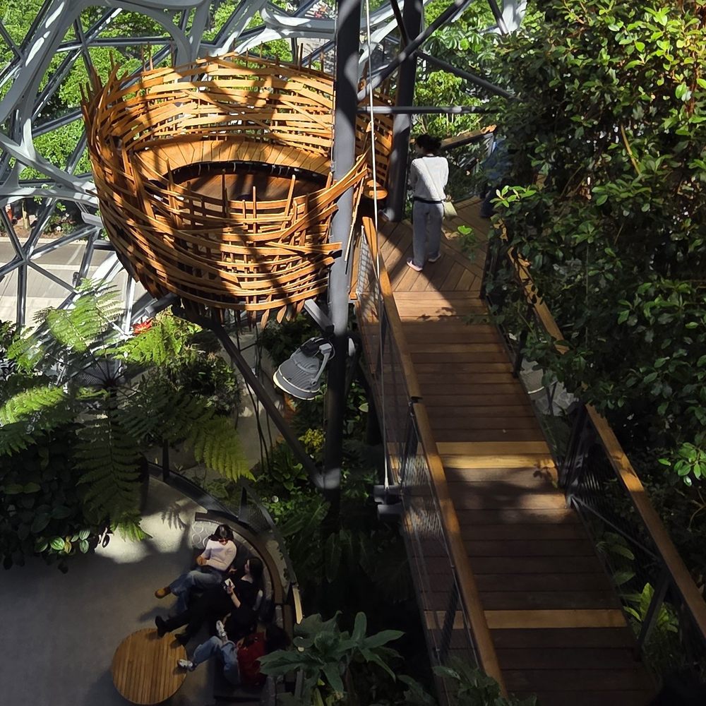 Amazon Spheres - Hanging Basket - Botanical Gardens Near Me - Seattle, Washington