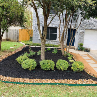 Francos tree services - tree service in San Antonio, TX