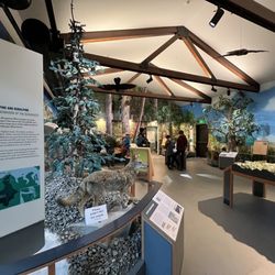 Dungeness River Nature Center - Inside the exhibit room - well worth a browse! Lots of interesting info