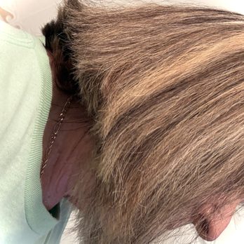 Hair Cuttery - how she used thinning shears vs point cutting like I asked - Hair Stylists Near Me - Cape Coral, Florida Hair Cuttery - how she used thinning shears vs point cutting like I asked - Hair Stylists Near Me - Cape Coral, Florida