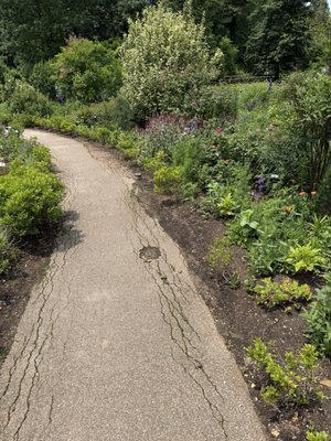 Bartram's Garden by null