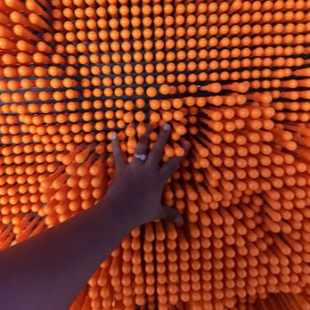 Catch Air - Indoor Playcenter Near Me - Middle Village, New York Catch Air - Indoor Playcenter Near Me - Middle Village, New York