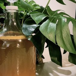 Brooklyn Brew Shop - Pumpkin beer kit