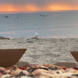 This hopeful sea gull kept eyeing us eating at nearby Weko beach. Sorry seagull. Roma's pizza is too yummy to share! This hopeful sea gull kept eyeing us eating at nearby Weko beach. Sorry seagull. Roma's pizza is too yummy to share!