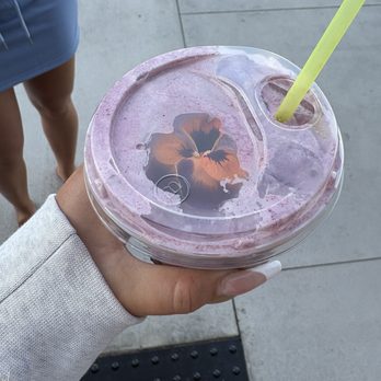 Hola Adios Coffeeshop - Iced blueberry espresso late - Coffee & Tea Near Me - Costa Mesa, California Hola Adios Coffeeshop - Iced blueberry espresso late - Coffee & Tea Near Me - Costa Mesa, California