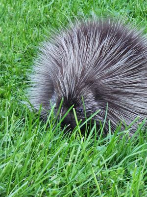 Wellesley Island State Park by null