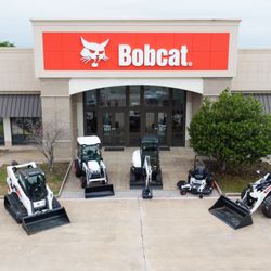 Bobcat