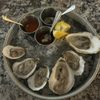 Elm Square Oyster gift card