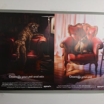 Rspca - Home Decor Near Me - New Farm, QLD Rspca - Home Decor Near Me - New Farm, QLD