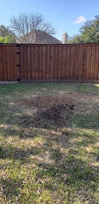 Texan Outdoor Services