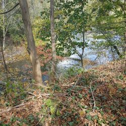 The Log Cabin Gallery - The river is right outside the place!
