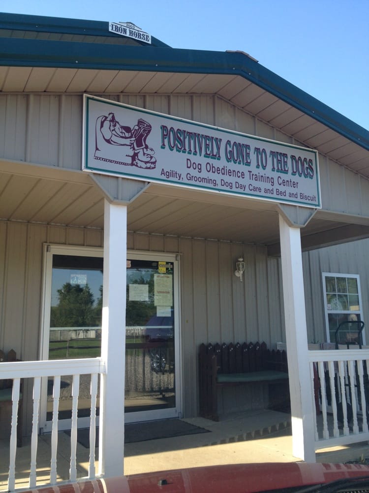 POSITIVELY GONE TO THE DOGS Updated September 2024 4856 Owl Creek