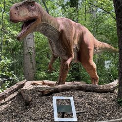 user provided Zoo Knoxville photo