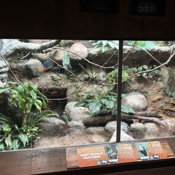 Memphis Zoo - Bird house - Zoos Near Me - Memphis, Tennessee Memphis Zoo - Bird house - Zoos Near Me - Memphis, Tennessee